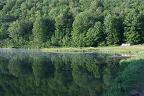 Water reflections